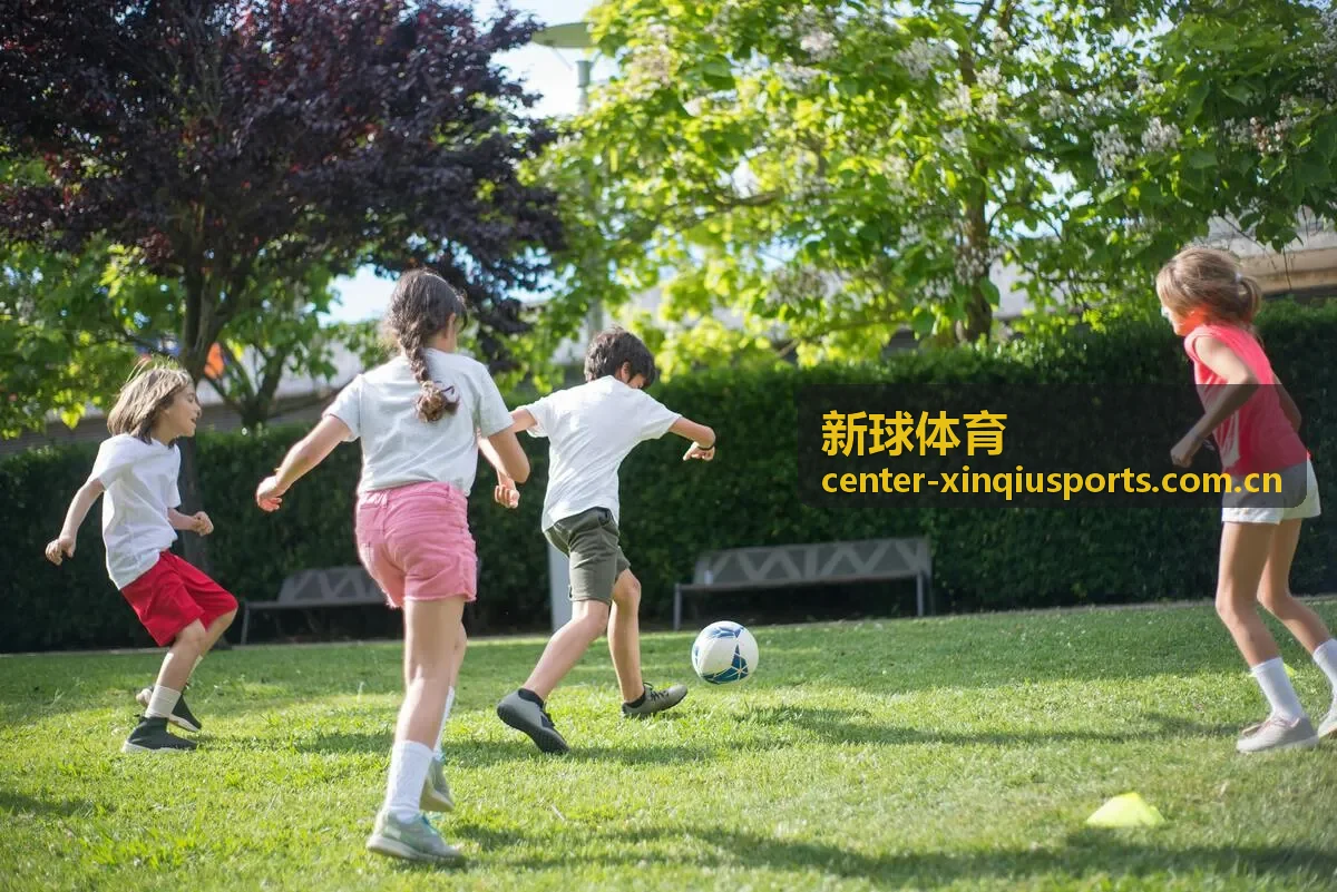 新球体育赛场深度观察
